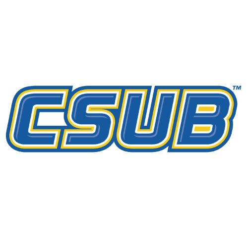 CSU Bakersfield Roadrunners logo Iron-on Transfers N4061